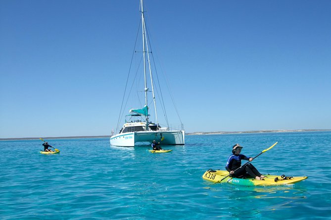 5 Night Ningaloo Reef Ningaloo Escape from Coral Bay - Attractions Sydney